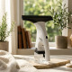 Window Cleaner